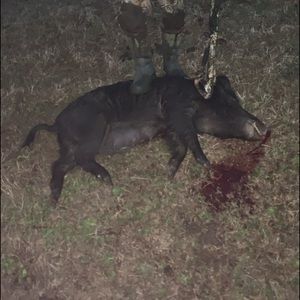 Meet your Posher, Jack